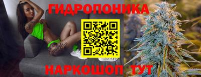 apvp Балашиха