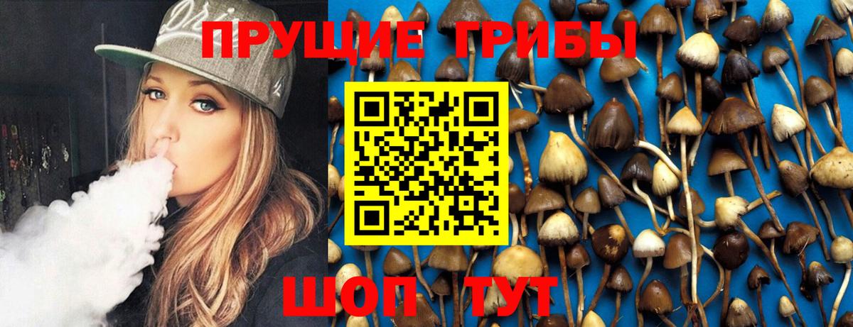 Губкинский  Псилоцибиновые грибы GOLDEN TEACHER  Вход с VPN 